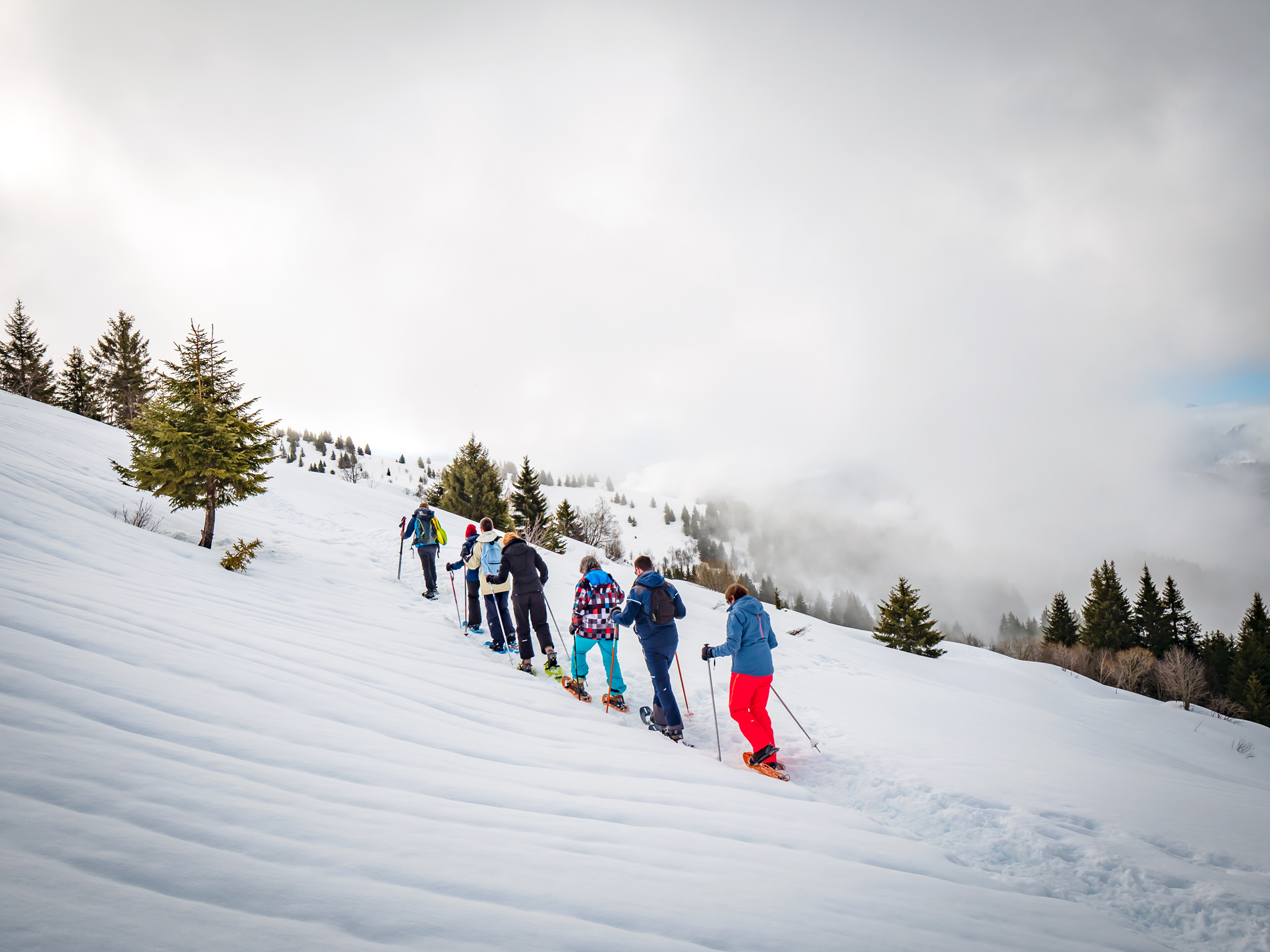 Randonnée raquettes - Praz de Lys Sommand